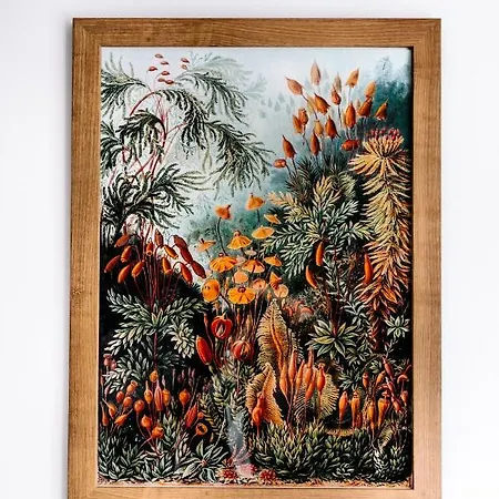 Apartament Apartel Piaseczno (Masovia)